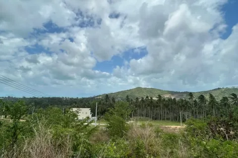 Terrain à Ko Samui, Thaïlande 1600 m2 № 171845 - photo 2