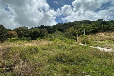 Terrain à Ko Samui, Thaïlande 1600 m2 № 171845 - photo 5