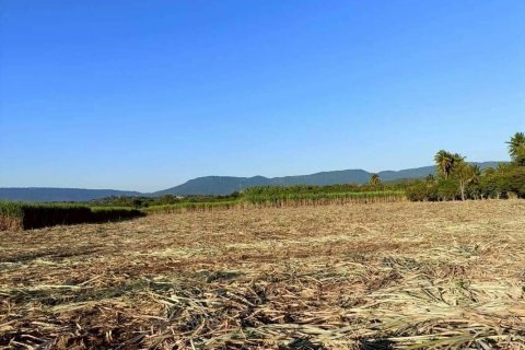 Земельный участок в Пак Чонге, Таиланд 174400м2  № 158140 - фото 3