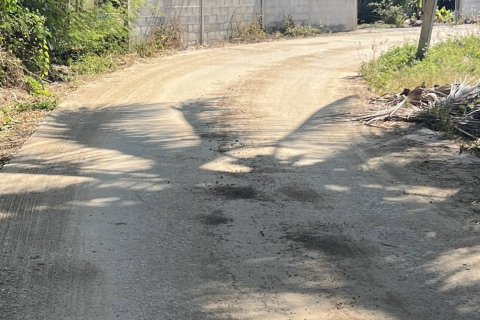 Земельный участок в Пак Чонге, Таиланд 174400м2  № 158140 - фото 8