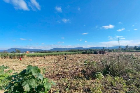 Земельный участок в Пак Чонге, Таиланд 174400м2  № 158140 - фото 4