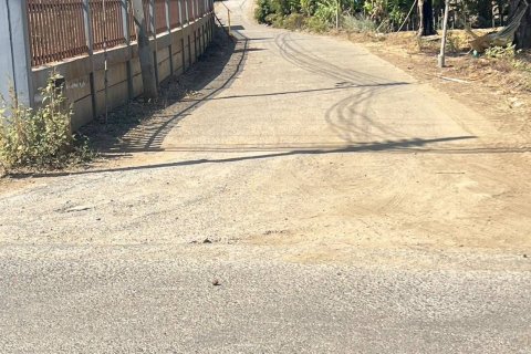 Земельный участок в Пак Чонге, Таиланд 174400м2  № 158140 - фото 9