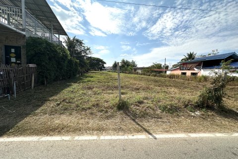 Terrain à Lamphun, Thaïlande 3200 m2 № 158144 - photo 9