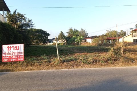 Terrain à Lamphun, Thaïlande 3200 m2 № 158144