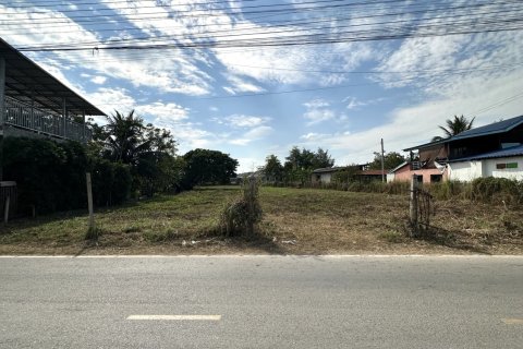 Terrain à Lamphun, Thaïlande 3200 m2 № 158144 - photo 6