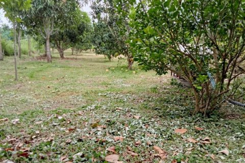 Terrain à Mae Rim, Thaïlande 4912 m2 № 161974 - photo 5