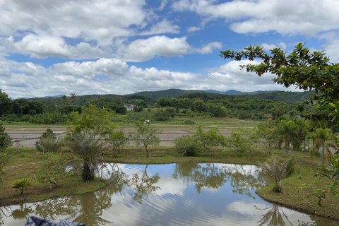 Terrain à Mae Rim, Thaïlande 4912 m2 № 161974 - photo 3