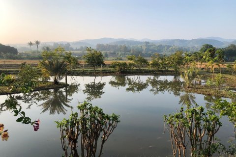 Terrain à Mae Rim, Thaïlande 4912 m2 № 161974 - photo 4