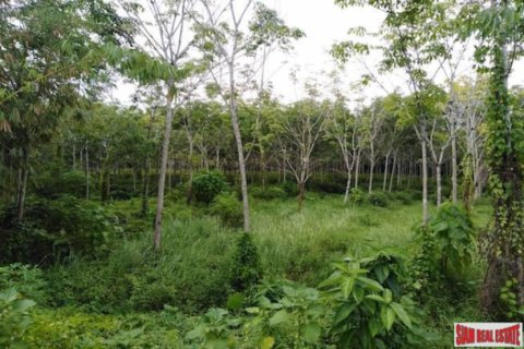 Terrain à Phang Nga, Thaïlande 27200 m2 № 193591