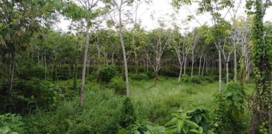 Terrain à Phang Nga, Thaïlande 27200 m2 № 193591