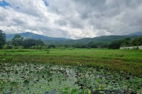 Земельный участок в Мае Риме, Таиланд 35200м2  № 170666 - фото 9