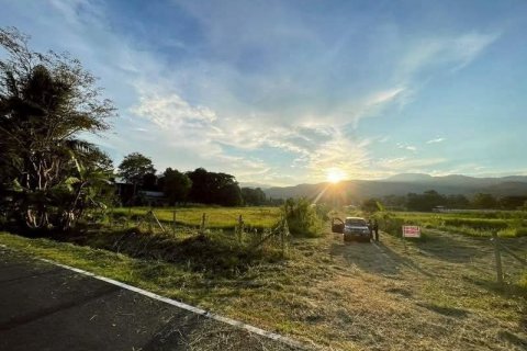 Земельный участок в Мае Риме, Таиланд 35200м2  № 170666 - фото 2