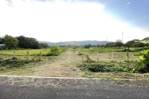 Земельный участок в Мае Риме, Таиланд 35200м2  № 170666 - фото 6