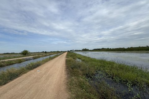 Земельный участок в Аюттхая, Таиланд 36800м2  № 170667 - фото 6