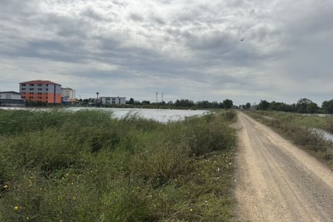 Земельный участок в Аюттхая, Таиланд 36800м2  № 170667