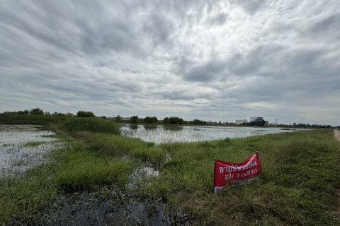 Земельный участок в Аюттхая, Таиланд 36800м2  № 170667 - фото 5