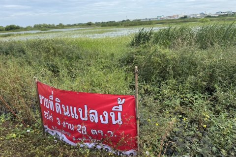 Земельный участок в Аюттхая, Таиланд 36800м2  № 170667 - фото 4