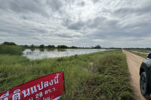 Земельный участок в Аюттхая, Таиланд 36800м2  № 170667 - фото 8