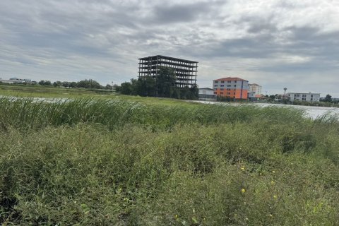 Земельный участок в Аюттхая, Таиланд 36800м2  № 170667 - фото 2