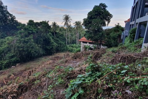 Земельный участок в Самуи, Таиланд 1427м2  № 148156 - фото 8
