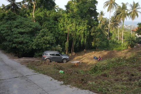 Земельный участок в Самуи, Таиланд 1427м2  № 148156 - фото 1