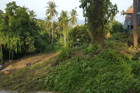 Земельный участок в Самуи, Таиланд 1427м2  № 148156 - фото 4