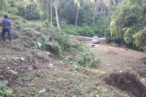 Земельный участок в Самуи, Таиланд 1427м2  № 148156 - фото 5