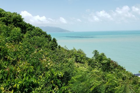 Land in Ko Samui, Thailand 1200 sq.m. № 163494 - photo 2