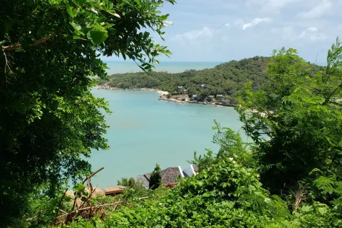 Land in Ko Samui, Thailand 1200 sq.m. № 163494 - photo 3