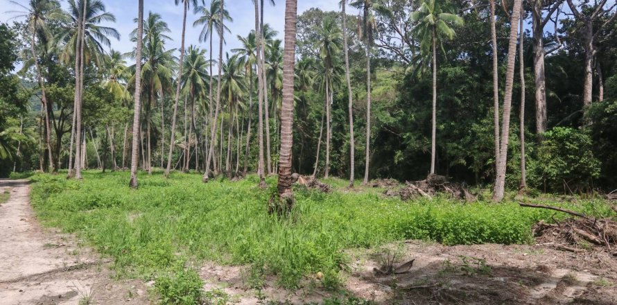 Land in Ko Samui, Thailand 1600 sq.m. № 151599