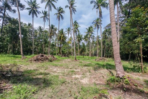 Land in Ko Samui, Thailand 1600 sq.m. № 151599 - photo 5