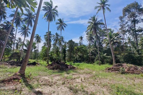 Land in Ko Samui, Thailand 1600 sq.m. № 151599 - photo 4