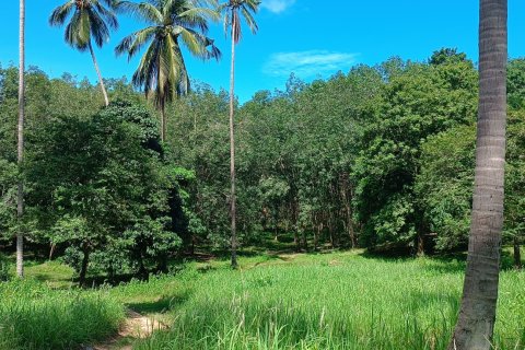 Земельный участок в Самуи, Таиланд 12800м2  № 151598 - фото 5