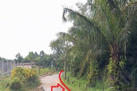 Terrain à Phang Nga, Thaïlande 17600 m2 № 167718 - photo 10