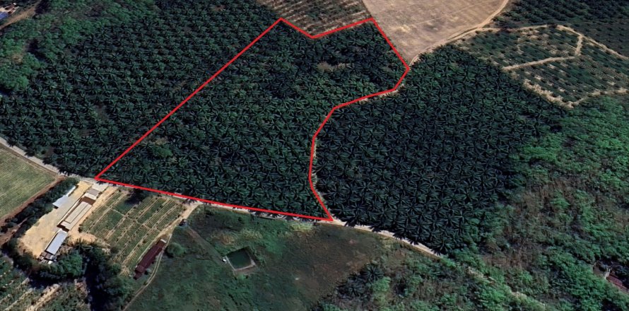 Terrain à Phang Nga, Thaïlande 17600 m2 № 167718