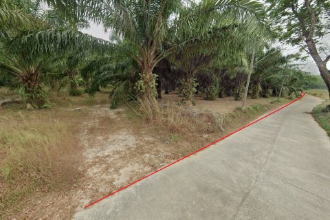 Terrain à Phang Nga, Thaïlande 17600 m2 № 167718 - photo 12