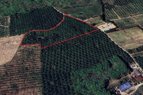 Terrain à Phang Nga, Thaïlande 17600 m2 № 167718 - photo 7