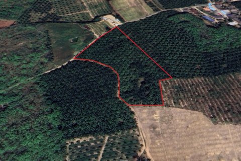 Terrain à Phang Nga, Thaïlande 17600 m2 № 167718 - photo 6