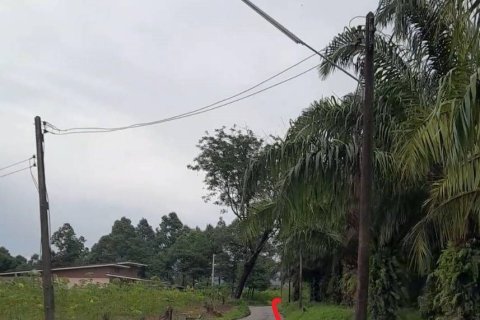 Terrain à Phang Nga, Thaïlande 17600 m2 № 167718 - photo 13