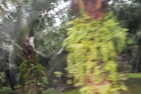 Terrain à Phang Nga, Thaïlande 17600 m2 № 167718 - photo 14