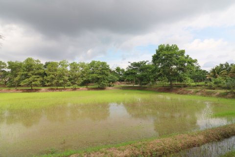 Land in Nong Khai, Thailand 51200 sq.m. № 163467 - photo 8