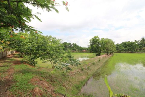 Land in Nong Khai, Thailand 51200 sq.m. № 163467 - photo 4