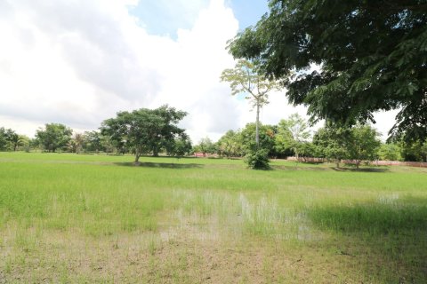 Land in Nong Khai, Thailand 51200 sq.m. № 163467 - photo 15