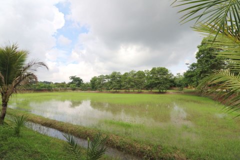 Land in Nong Khai, Thailand 51200 sq.m. № 163467 - photo 10