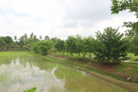Land in Nong Khai, Thailand 51200 sq.m. № 163467 - photo 3