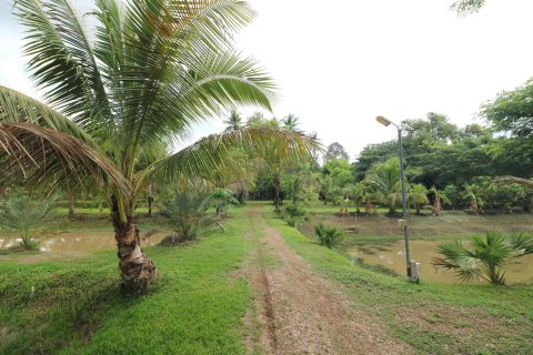 Land in Nong Khai, Thailand 51200 sq.m. № 163467 - photo 11