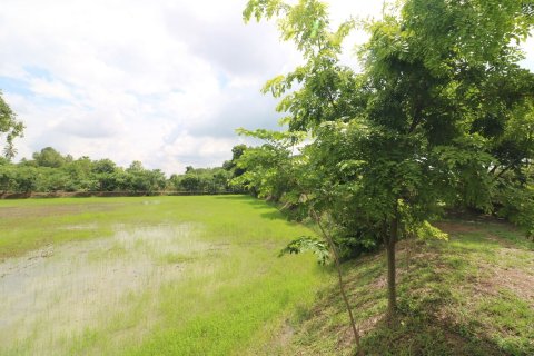 Land in Nong Khai, Thailand 51200 sq.m. № 163467 - photo 7