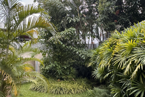 House in Bangkok, Thailand 4 bedrooms № 190246