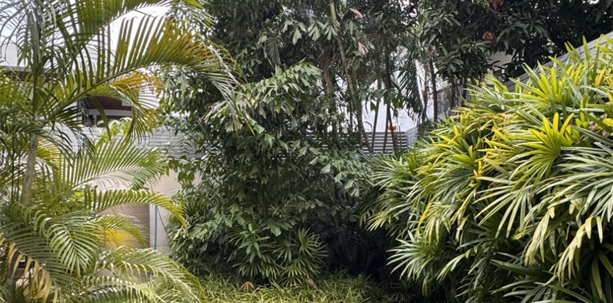 House in Bangkok, Thailand 4 bedrooms № 190246