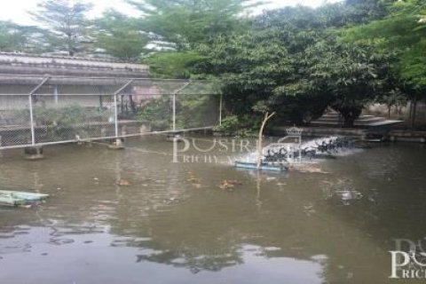 Land in Krathum Baen, Thailand 11200 sq.m. № 167369 - photo 5